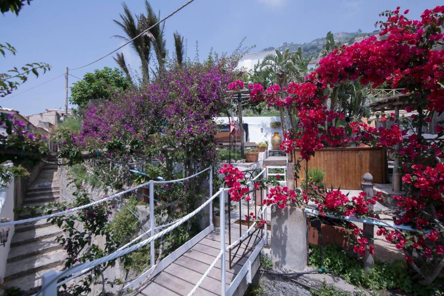 Perla Nel Blu Villa Affacciata Sul Mare Conca dei Marini Exterior foto